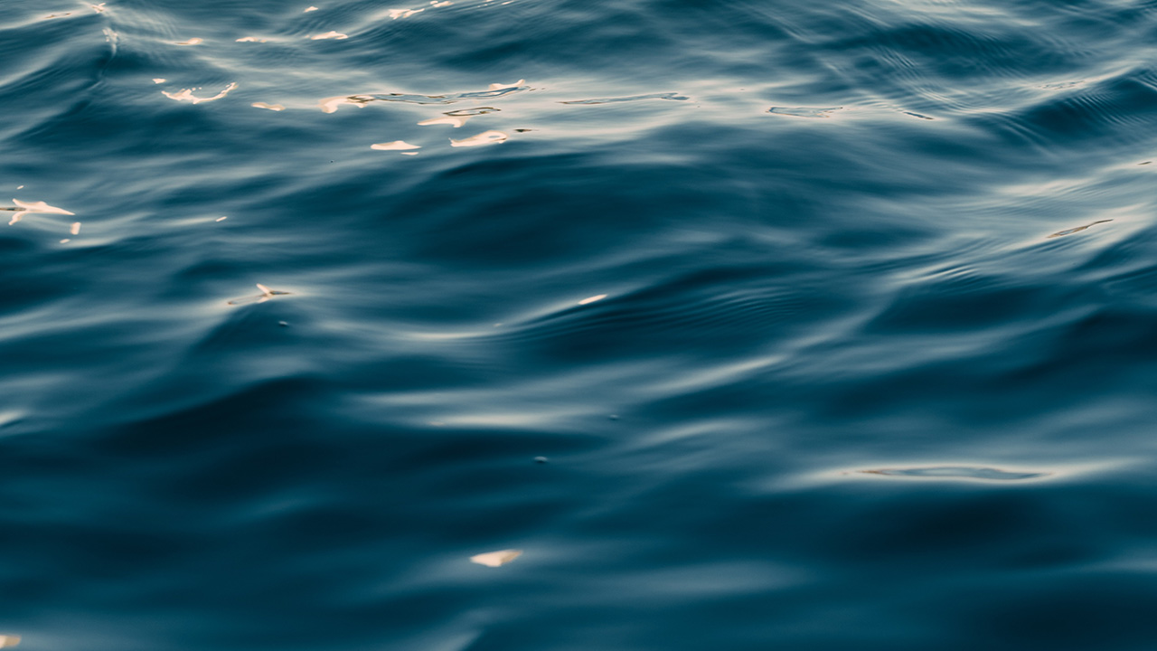 12 months on… reflections on a first year as CEO