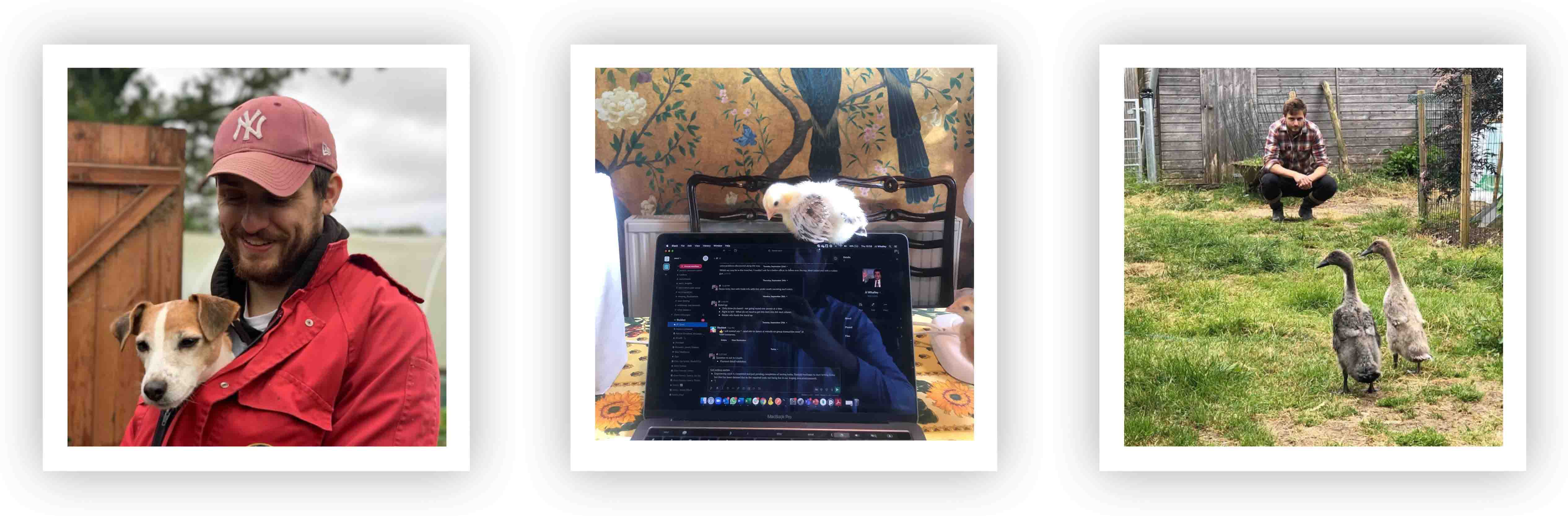 JJ's animal adventures...