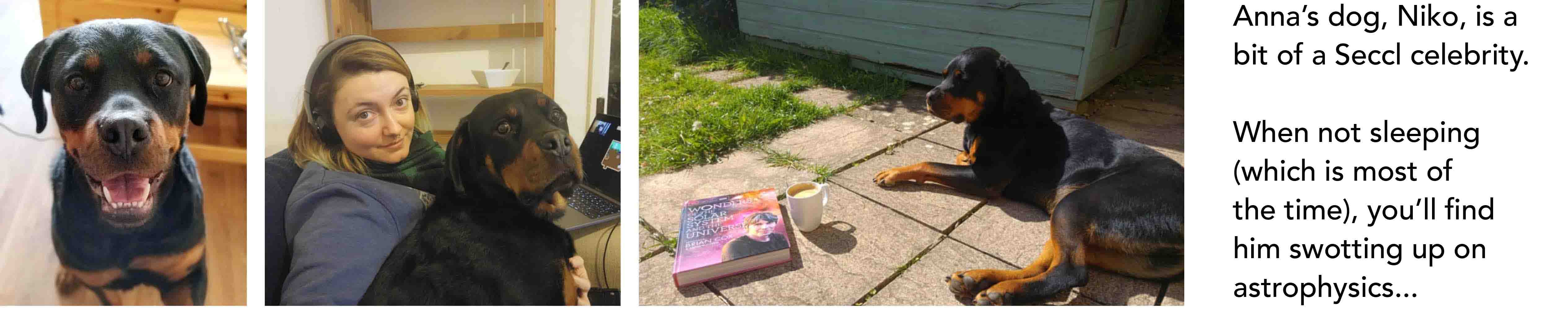Anna’s dog, Niko, is a bit of a Seccl celebrity. When not sleeping (which is most of the time), you’ll find him swotting up on astrophysics...)
